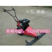 安徽滁州手推式的剪草機 北京園林修剪機