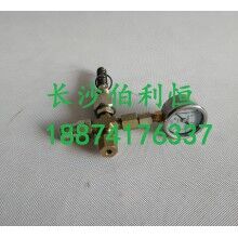 批發(fā)原裝正品攪拌機(jī)配件，三一JX3000潤(rùn)滑油泵芯